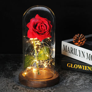 Enchanted Forever Rose In Glass