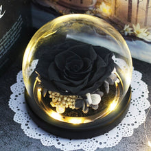 Load image into Gallery viewer, Luminous Midnight Rose Dome