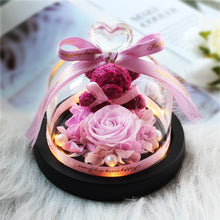 Charger l&#39;image dans la galerie, Cherry Pink Bear Midnight Rose