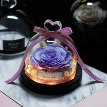 Load image into Gallery viewer, Lush Lavender Midnight Rose