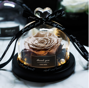 Midnight Rose in Glass Dome