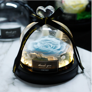 Midnight Rose in Glass Dome
