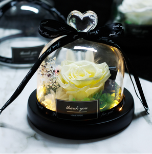 Midnight Rose in Glass Dome