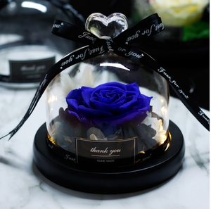 Midnight Rose in Glass Dome