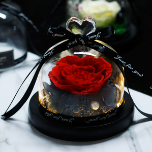 Midnight Rose in Glass Dome
