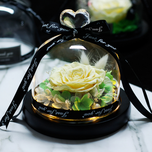 Midnight Rose in Glass Dome