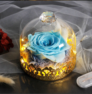 Midnight Rose in Glass Dome