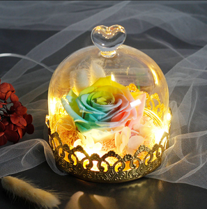 Midnight Rose in Glass Dome