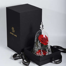 Charger l&#39;image dans la galerie, Enchanted Beauty &amp; Beast Star Rose