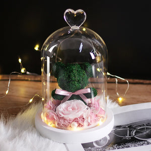 Beauty & Beast Rose Bear in Glass