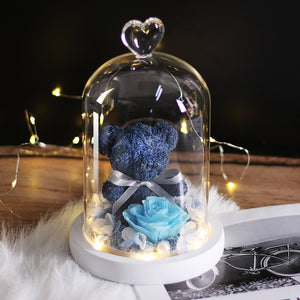 Beauty & Beast Rose Bear in Glass