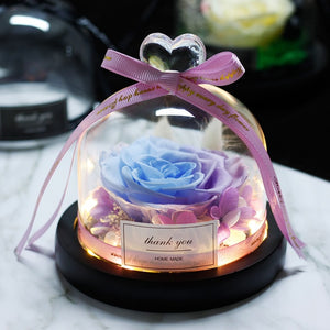 Midnight Rose in Glass Dome