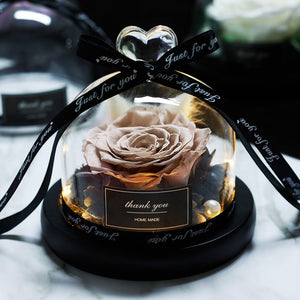 Midnight Rose in Glass Dome