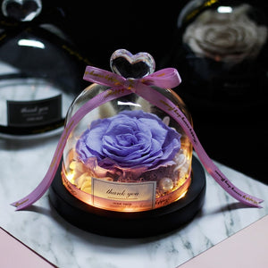 Midnight Rose in Glass Dome