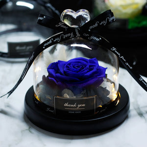 Midnight Rose in Glass Dome