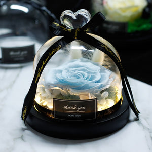 Midnight Rose in Glass Dome