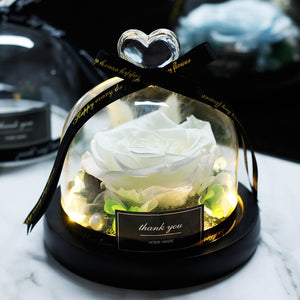 Midnight Rose in Glass Dome