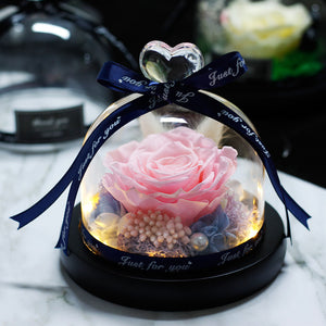Midnight Rose in Glass Dome