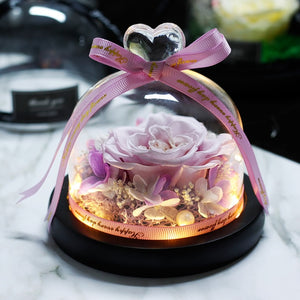Midnight Rose in Glass Dome
