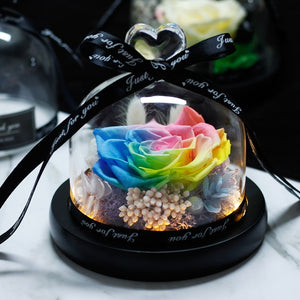 Midnight Rose in Glass Dome