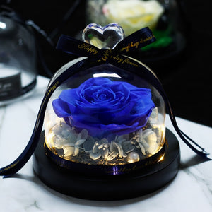 Midnight Rose in Glass Dome