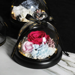 Midnight Rose in Glass Dome