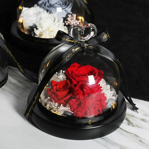Midnight Rose in Glass Dome