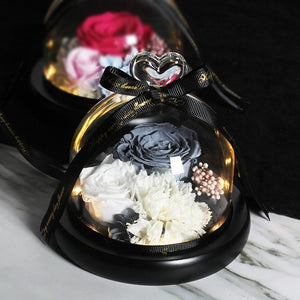 Midnight Rose in Glass Dome
