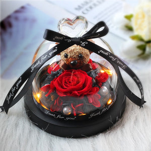 Midnight Rose in Glass Dome