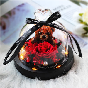 Midnight Rose in Glass Dome