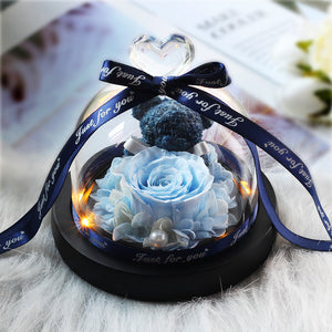 Midnight Rose in Glass Dome