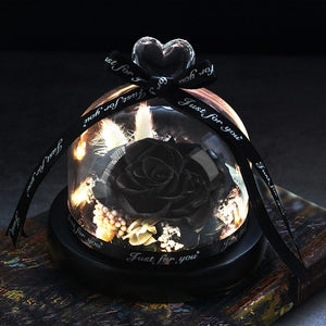 Midnight Rose in Glass Dome