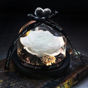 Midnight Rose in Glass Dome