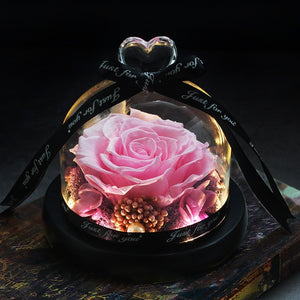 Midnight Rose in Glass Dome