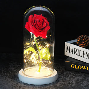 Enchanted Forever Rose In Glass