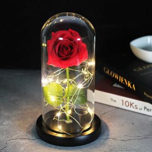 Enchanted Forever Rose In Glass