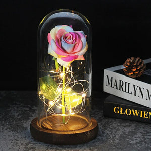 Enchanted Forever Rose In Glass