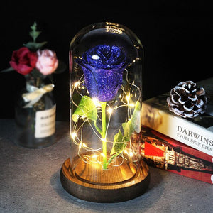 Enchanted Forever Rose In Glass