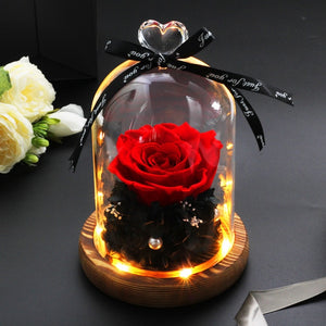 Immortal Rose in LED Glass Dome