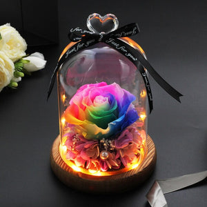 Immortal Rose in LED Glass Dome
