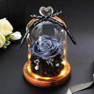 Immortal Rose in LED Glass Dome