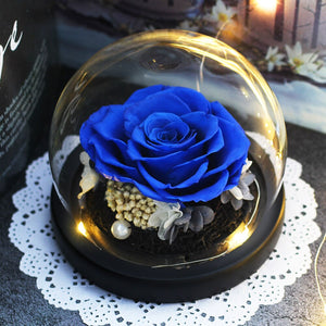 Luminous Midnight Rose Dome