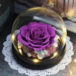 Luminous Midnight Rose Dome