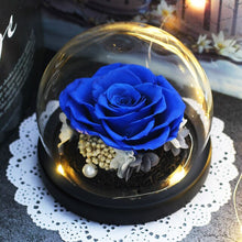 Görseli Galeri görüntüleyiciye yükleyin, Luminous Midnight Rose Dome