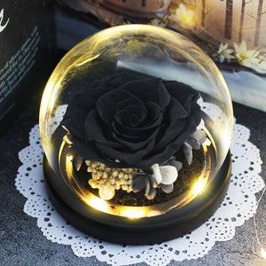 Luminous Midnight Rose Dome