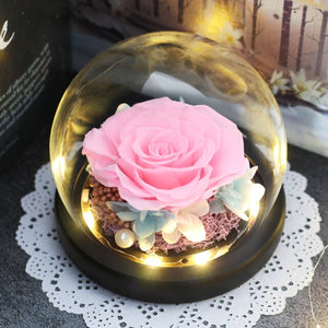 Luminous Midnight Rose Dome