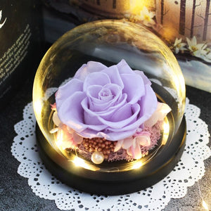 Luminous Midnight Rose Dome