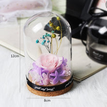 Load image into Gallery viewer, Beauty &amp; Beast Rose Bear in Glass