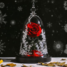 Charger l&#39;image dans la galerie, Enchanted Beauty &amp; Beast Star Rose