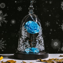 Load image into Gallery viewer, Enchanted Beauty &amp; Beast Star Rose